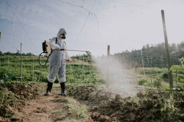 Best Best Pest Control Companies  in Roanoke, VA