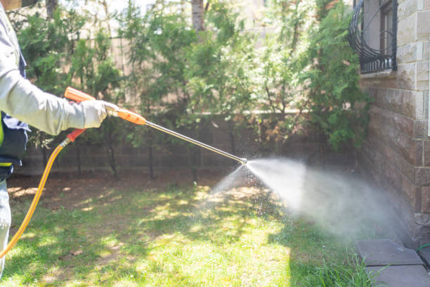 Best Bed Bug Extermination  in Roanoke, VA