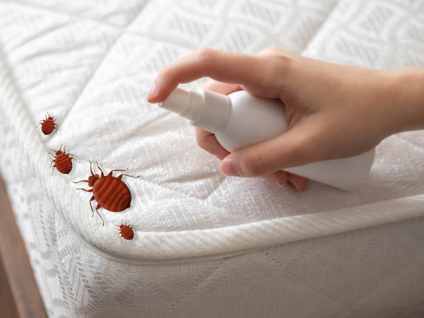 Best Pest Prevention Services  in Roanoke, VA