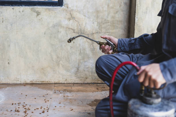 Trusted Roanoke, VA Pest Control Experts
