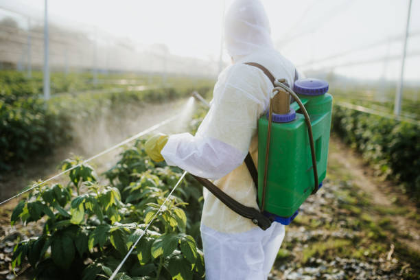 Best Mosquito Control Services  in Roanoke, VA